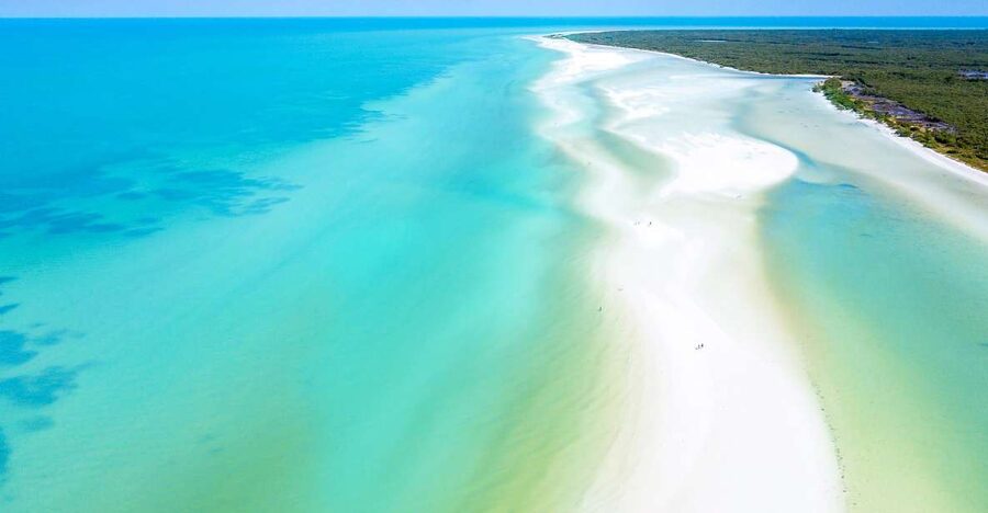 From Cancun or Puerto Morelos: Holbox Boat Tour with Lunch - Isla Pasión, a short first taste of the coast