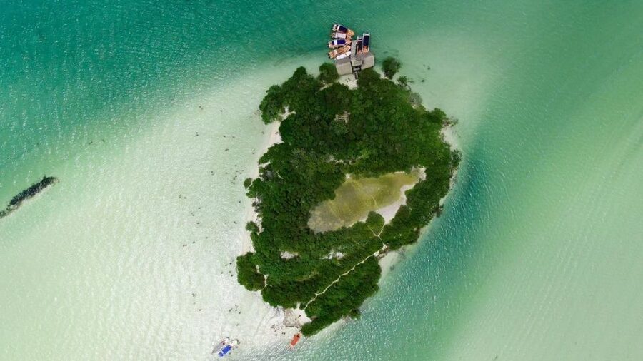 From Cancun or Puerto Morelos: Holbox Boat Tour with Lunch - Holbox town, murals, and two hours on your own