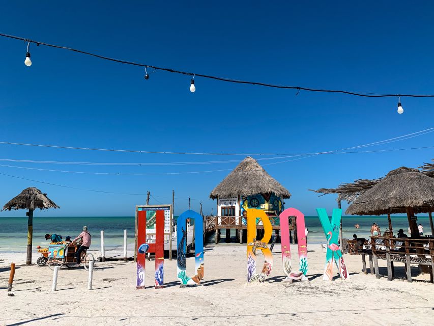 From Cancun or Puerto Morelos: Holbox Boat Tour with Lunch - Yalahau Lagoon and the freshwater swim