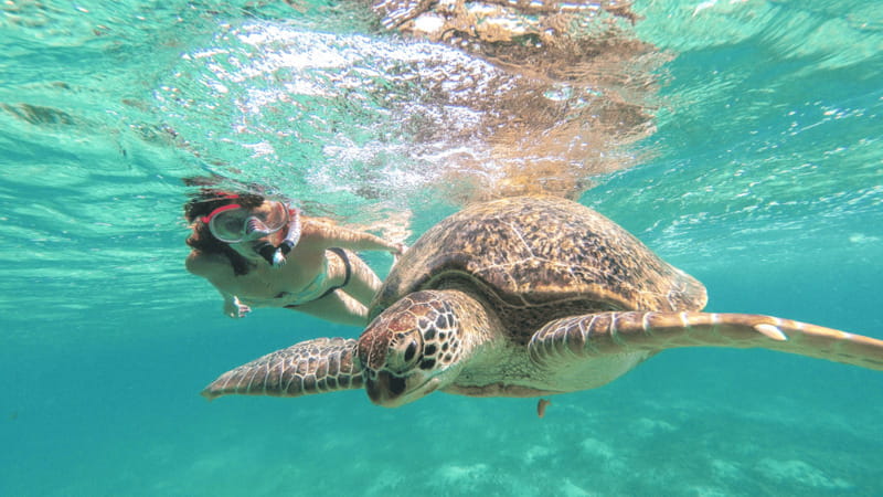 From Cancun: Tulum and Akumal Cenote and Turtle Swim Tour - Should you book the Tulum, cenote, and Akumal tour?
