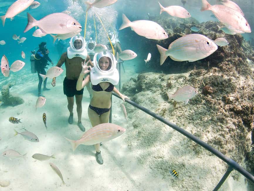 From Cancun: Xcaret Park All-Inclusive - Who will enjoy Xcaret most