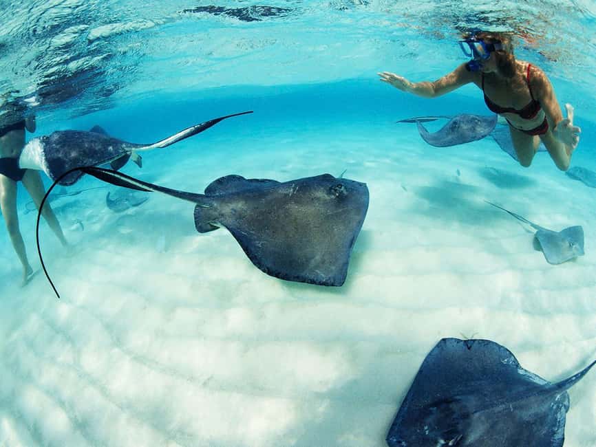 From Playa del Carmen: Xcaret Plus Park, the complete experience - Key details to know before booking