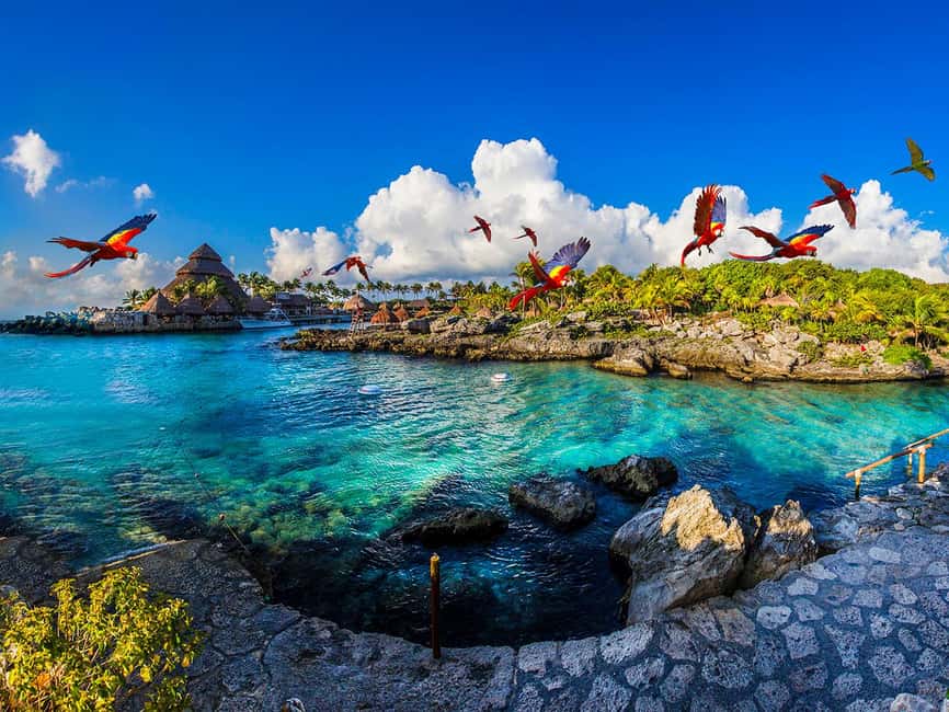 From Playa del Carmen: Xcaret Plus Park, the complete experience - Why Xcaret works as a full-day outing