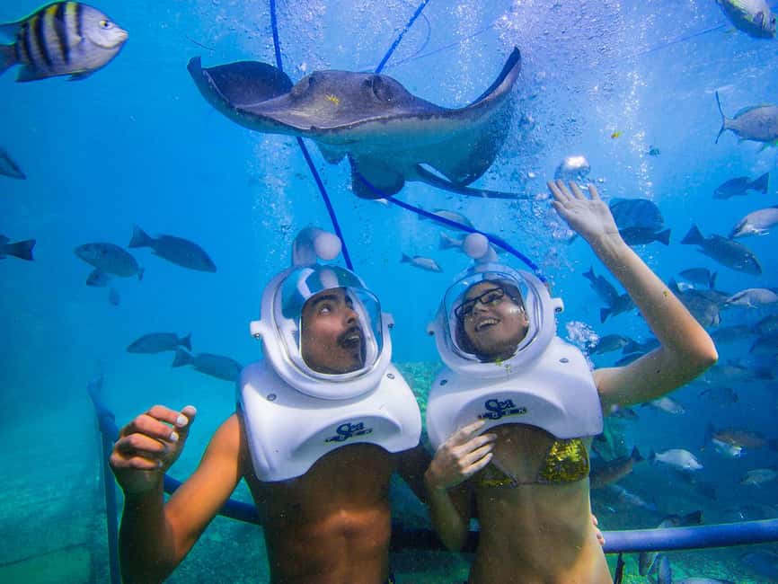 From Playa del Carmen: Xcaret Plus Park, the complete experience - Is $205 a fair price?