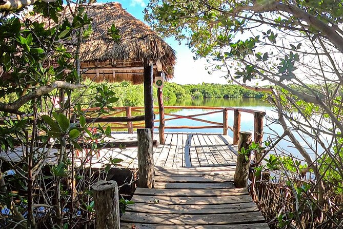Full-Day Isla Contoy Sailing Nature Experience in Mujeres - Leaving Cancun for a day on the water