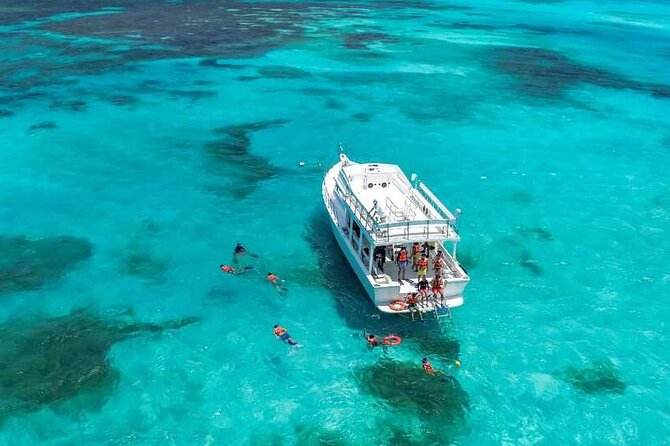 Full-Day Isla Contoy Sailing Nature Experience in Mujeres - Who will enjoy this sailing trip most