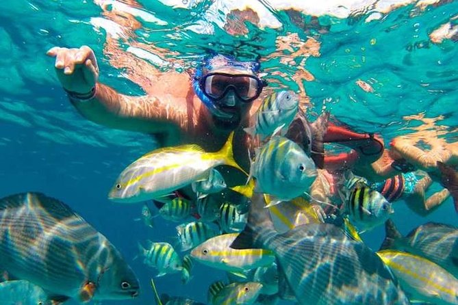Full-Day Luxurious Catamaran Adventure - Cancún to Isla Mujeres - Lunch at the Beach Club