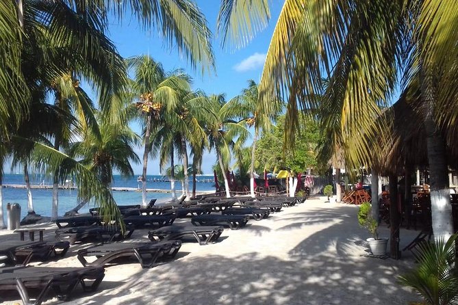 Full-Day Luxurious Catamaran Adventure - Cancún to Isla Mujeres - The Spinnaker Ride and Other Activities