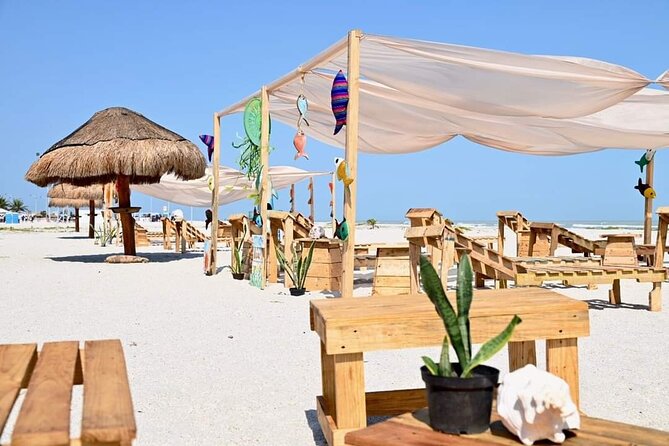 Full Day Tour of Holbox Island and Yalahau Cenote with Lunch - Swimming at Yalahau Cenote