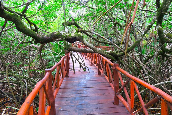Full-Day Tour of Tulum Ruins and Cenotes with Lunch - Is $126 a fair price?