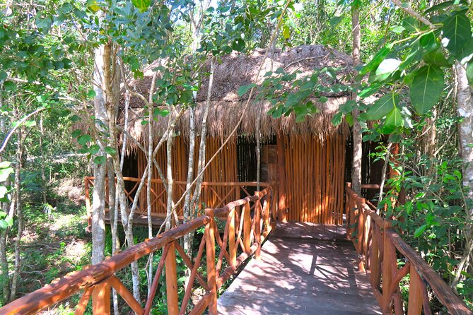 Full-Day Tour of Tulum Ruins and Cenotes with Lunch - Who will enjoy this day most?