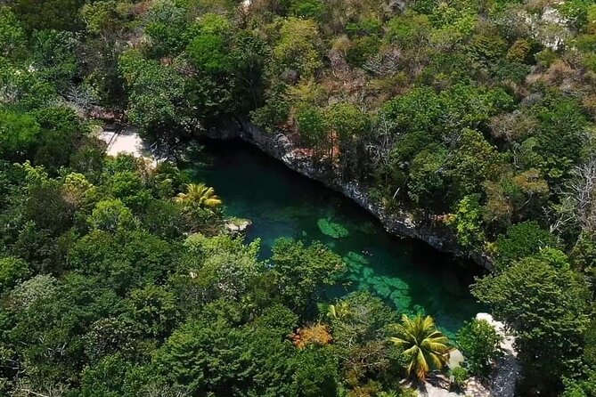 Full Day Tour to 5 Magical Cenotes in the Riviera Maya - Casa Tortuga brings four different water stops