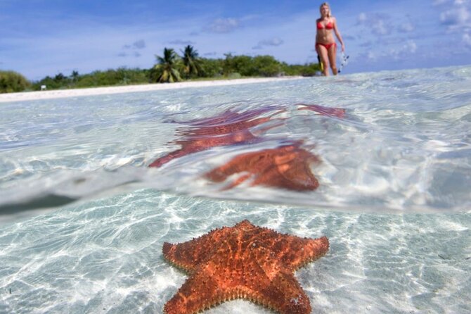 Full day tour to El Cielo in Cozumel Snorkeling and Lunch - Key points to know before booking
