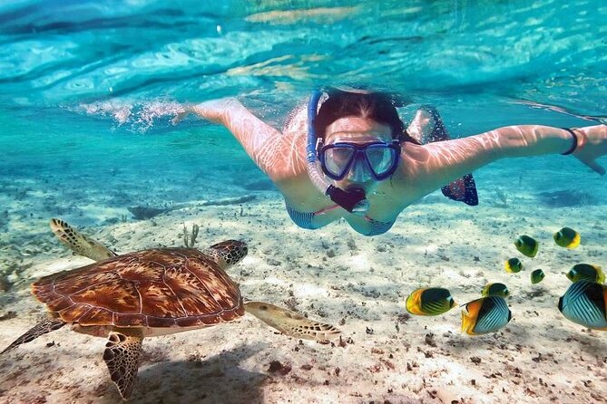 Full day tour to El Cielo in Cozumel Snorkeling and Lunch - Colombia and Palancar add real reef time