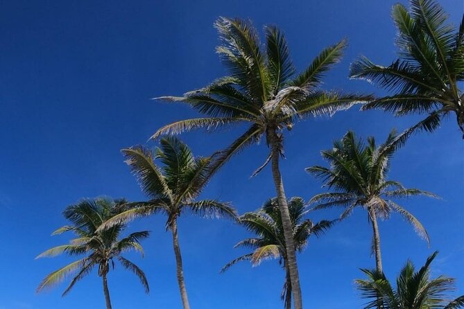 Full Day Tour to Isla Contoy and Isla Mujeres from Cancun - Isla Contoy’s Reef Comes First