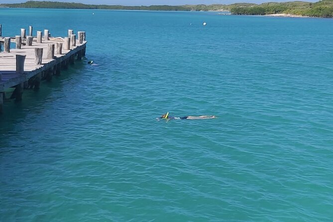 Full Day Tour to Isla Contoy and Isla Mujeres from Cancun - Isla Mujeres: One Hour, Two Ways to Spend It