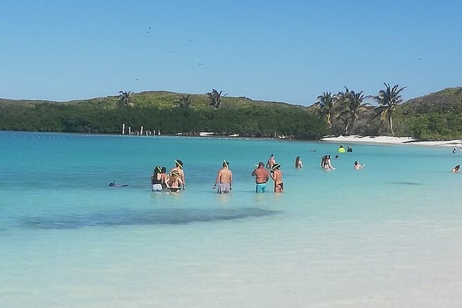 Full Day Tour to Isla Contoy and Isla Mujeres from Cancun - Who Will Get the Most From This Tour