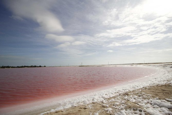 Full-Day Tour to Las Coloradas Pink Paradise in Yucatan and Rio Lagartos. - Key points to know before booking