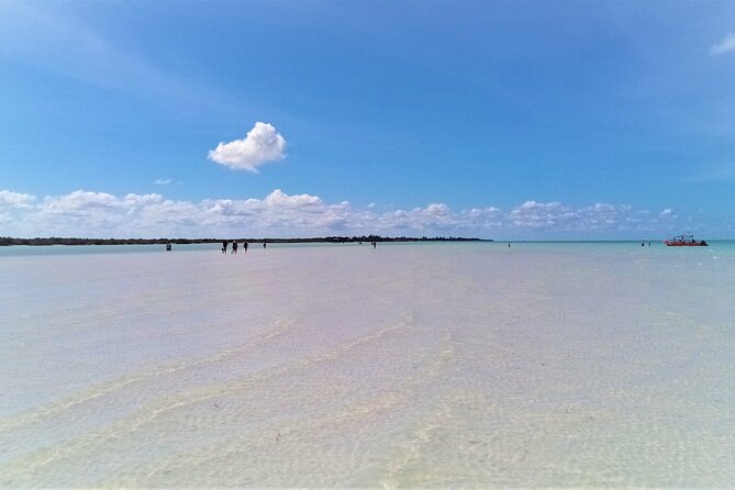 Full Day Tour to the Best of Holbox - Why this Holbox day trip works