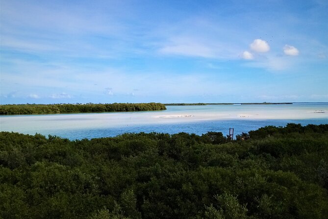 Full Day Tour to the Best of Holbox - Isla de la Pasión and the bird-watching stop