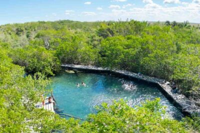 Full Day Tour to the Best of Holbox