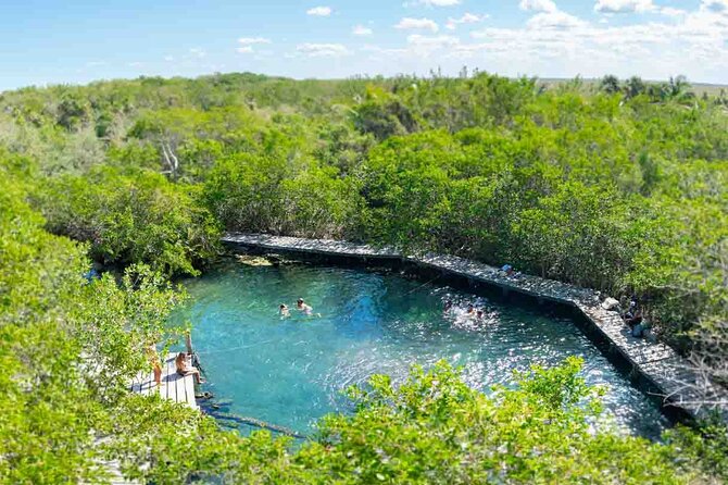 Full Day Tour to the Best of Holbox - Starting at 7:00 a.m. from Cancun