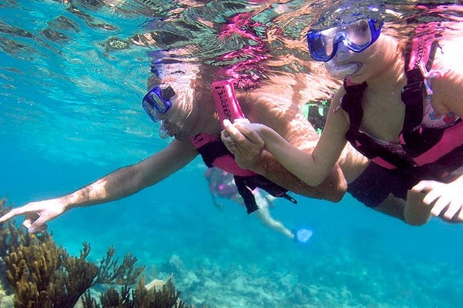 Full day Xcaret Plus & Buffet & from Cancun & Playa del Carmen - Underground rivers and the water areas