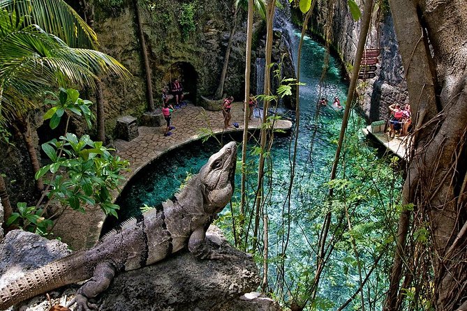 Full day Xcaret Plus & Buffet & from Cancun & Playa del Carmen - A note about guides and communication