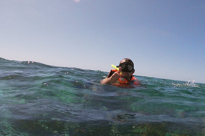 Guided Tour of Puerto Morelos Reefs with Snorkeling Experience - Reaching Puerto Morelos from Cancun