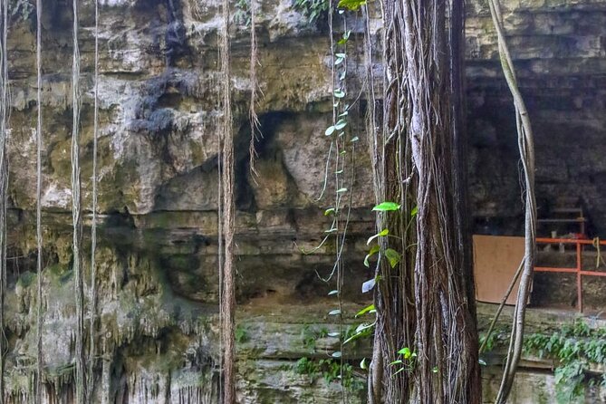 Guided Tour to Chichen Itza, saamal Cenote and Valladolid City - What the $59 price really covers