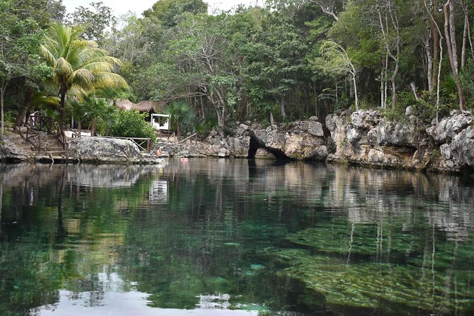 Half Day Cenotes Tour - Key points to know before booking