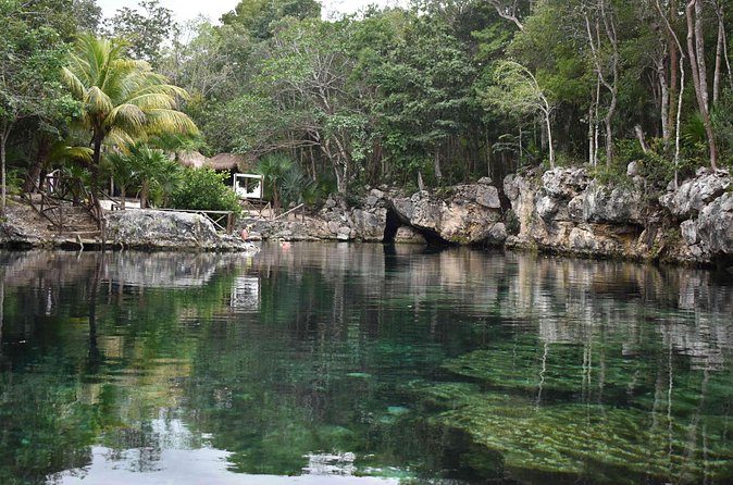 Half Day Cenotes Tour - Open cenotes and the question of water quality