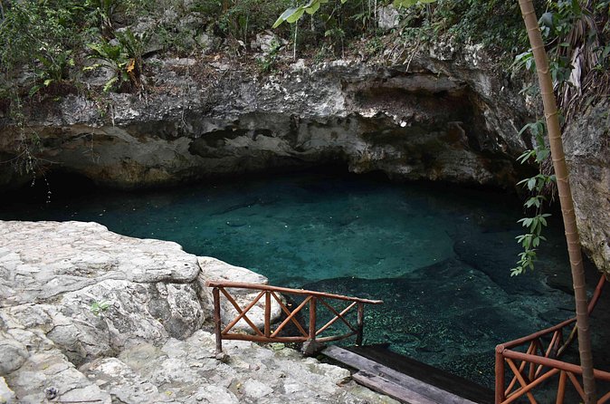 Half Day Cenotes Tour - The guide, group size, and how the day feels