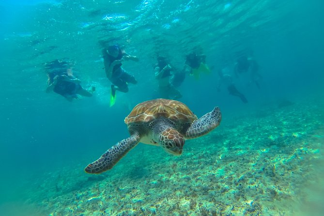 Half-Day Underwater World Tour - What the $109 price includes