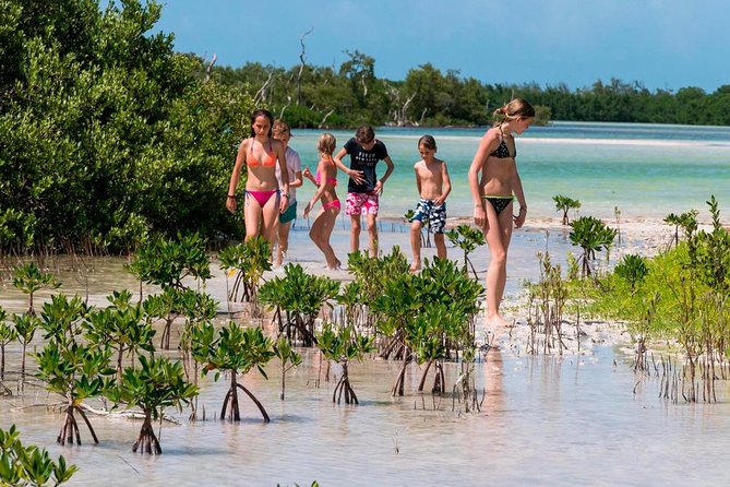 Holbox and Passion Island Full-Day Tour with Cenote, Transportation and Lunch - Swimming at Yalahau Lagoon cenote