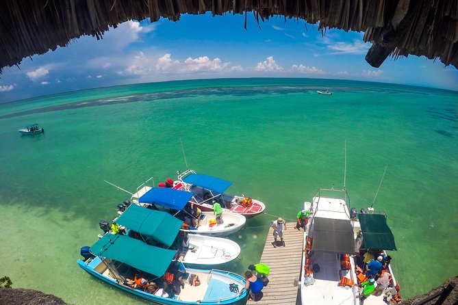 Holbox Island Tour departure from Cancun - What the $60 price really covers