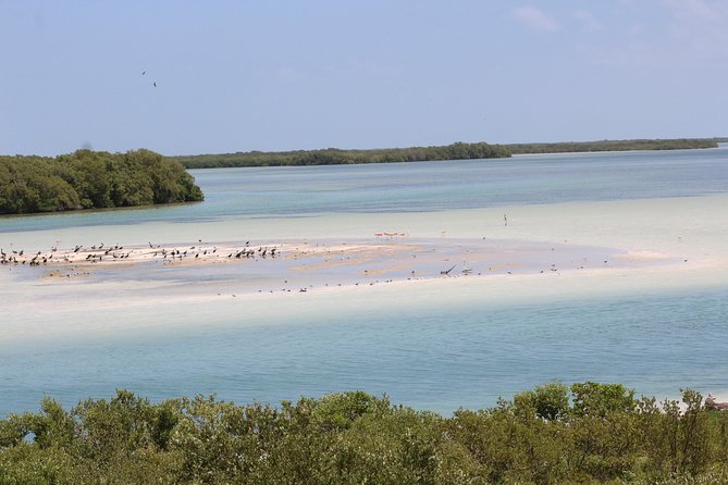 Holbox Island Tour from Cancun - The boat ride through turquoise water