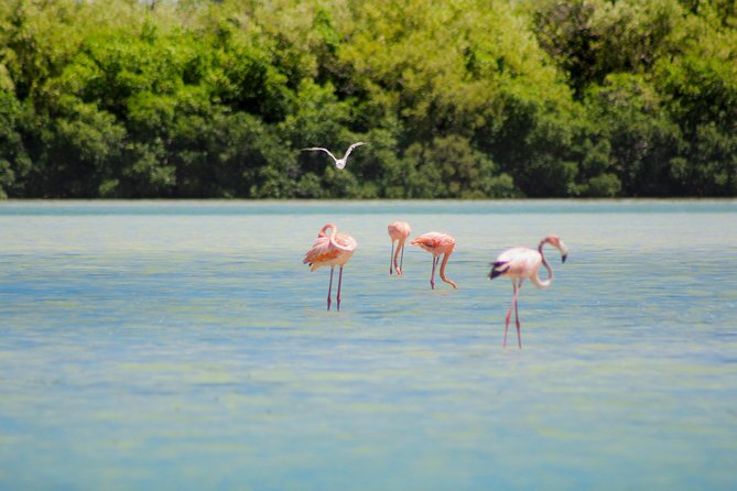 Holbox Island Tour from Cancun - What to pack for the 12-hour day
