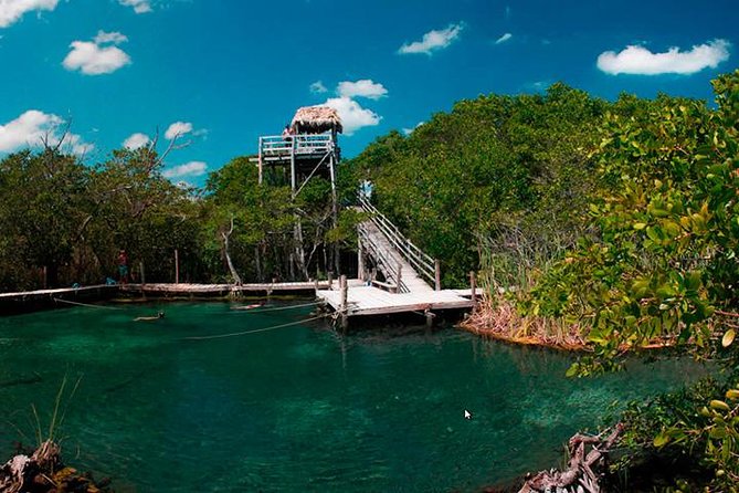 Holbox plus Island Magic by boat Tour from Cancun - What the meals add to the value