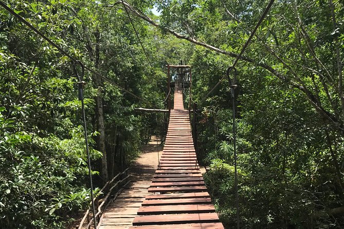 Horseback riding and ATV in the jungle, Ziplines, Cenote & Lunch - ATV trails with bumps, climbs, and mud