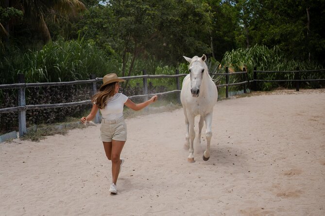 Horseback Riding and Cenote Swim from Cancun or Playa del Carmen - Choosing a horse and starting through the jungle