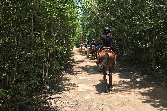 Horseback Riding plus ATV, Cenote, Ziplines, and Lunch - What the pace and group size feel like