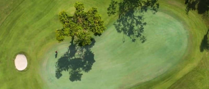 Iberostar Cancun Golf Course - Who will enjoy this round most