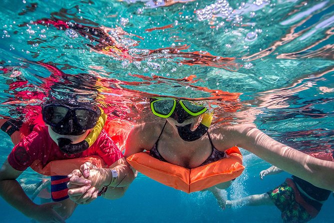 Isla Contoy and Isla Mujeres Tour with Snorkeling from Cancun - Why Isla Contoy Makes This Day Different