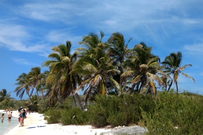 Isla Contoy and Isla Mujeres Tour with Snorkeling from Cancun - Snorkeling at Ixlache Reef