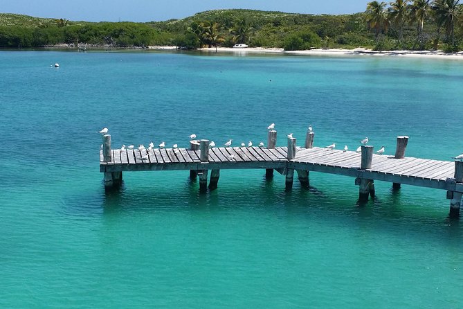 Isla Contoy and Isla Mujeres Tour with Snorkeling from Cancun - Starting at Punta Sam: Breakfast and Boat Check-In