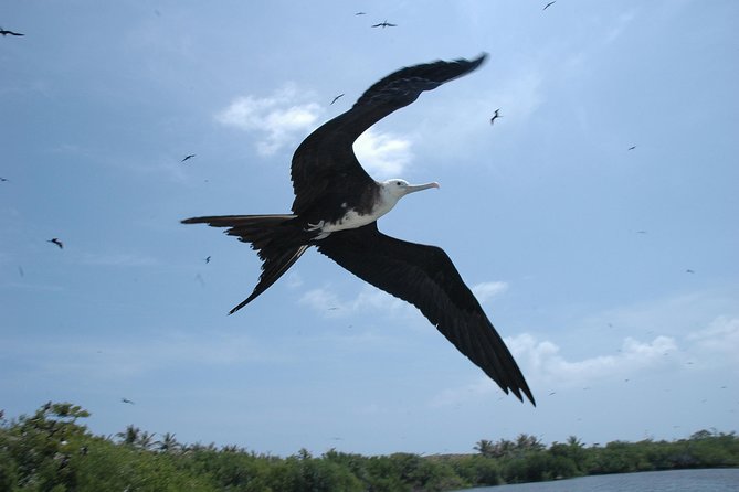Isla Contoy Eco Adventure - How much does the $140 price buy you?