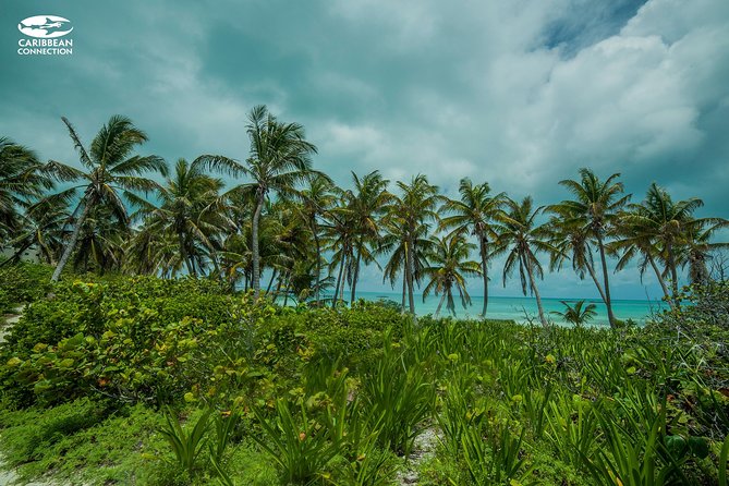 Isla Contoy Eco Adventure - Who will enjoy this day most?