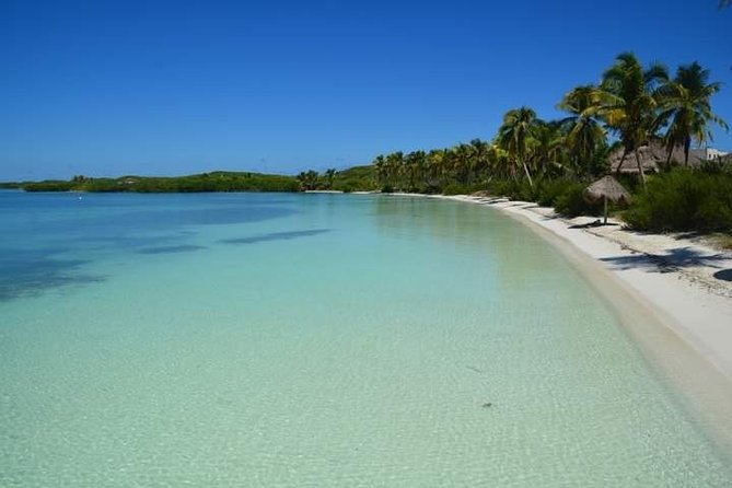 Isla Contoy Incredible Tour! Round Transportation From Cancun & Playa Del Carmen - Lunch, drinks, and the practical value of the package