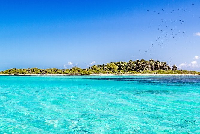 Isla Contoy Incredible Tour! Round Transportation From Cancun & Playa Del Carmen - What to expect at Isla Mujeres
